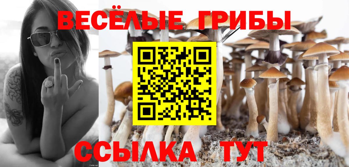 Псилоцибиновые грибы Magic Shrooms Дмитров